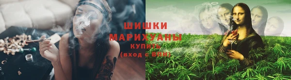 крисы Абдулино