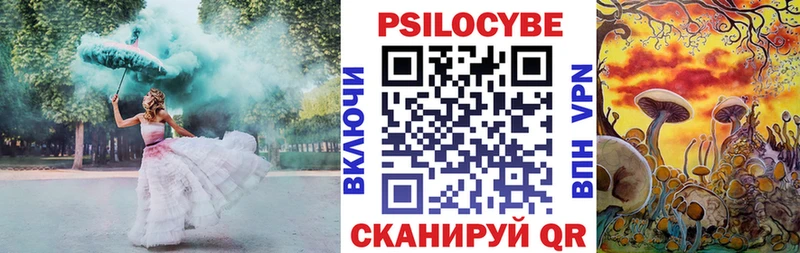 Псилоцибиновые грибы Psilocybe  ссылка на мегу зеркало  Хадыженск 