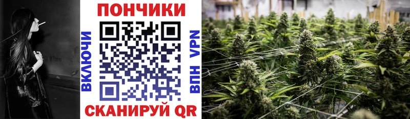 купить закладку  Хадыженск  МАРИХУАНА OG Kush 